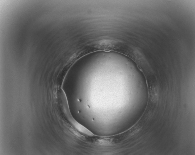 X0000080130232200612151746