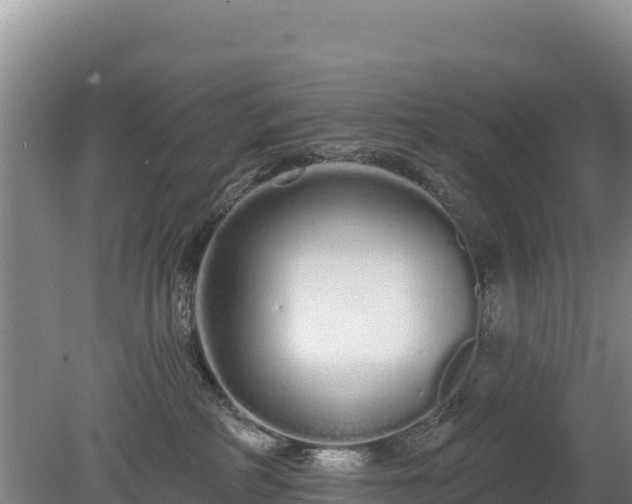 X0000080130234200612151746