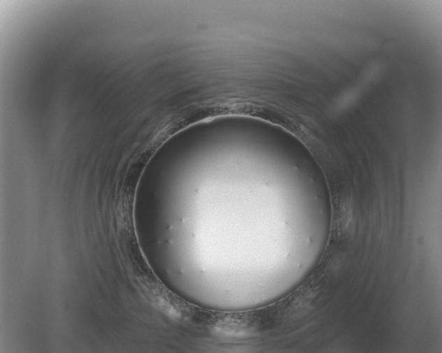 X0000080130236200612151746