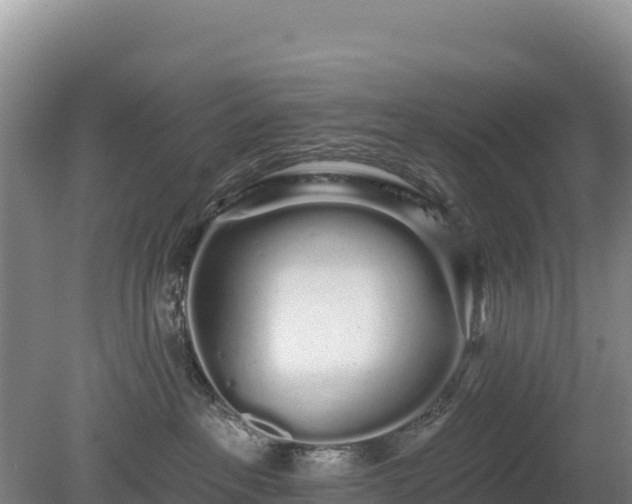 X0000080130237200612151746