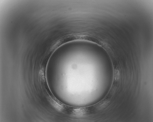 X0000080130238200612151746