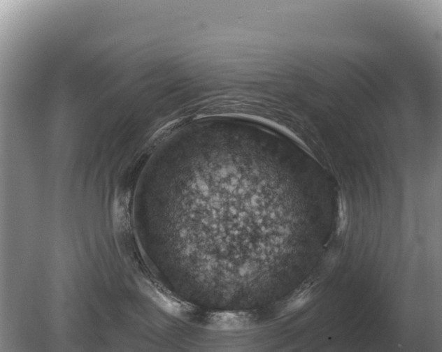 X0000080130239200612151746