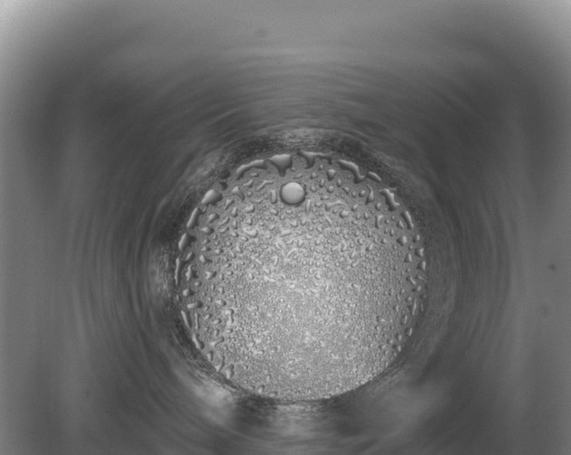 X0000080130240200612151746