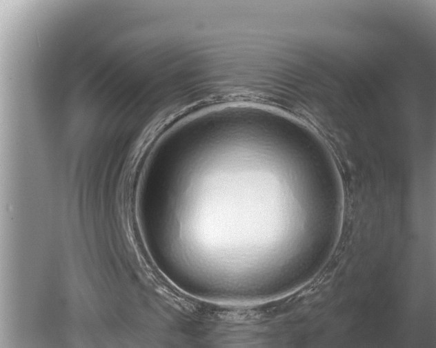 X0000080130241200612151746