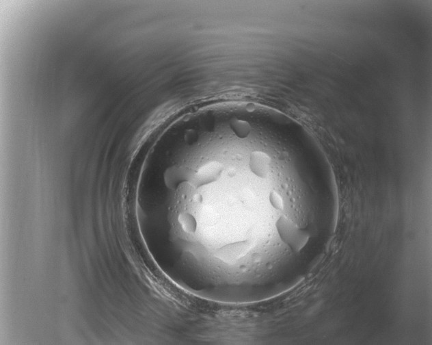 X0000080130242200612151746