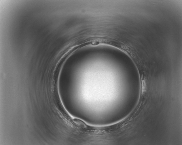 X0000080130243200612151746