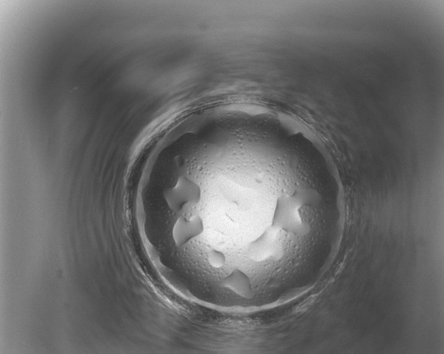 X0000080130245200612151746