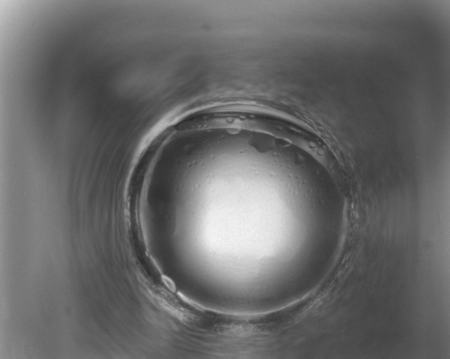 X0000080130246200612151746