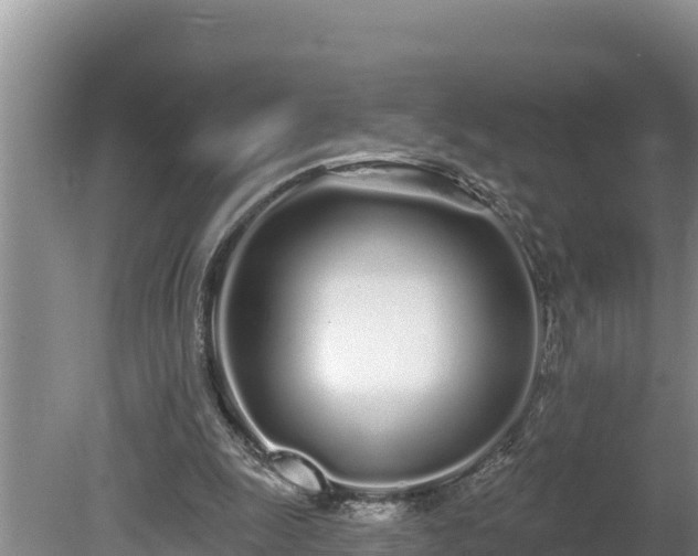 X0000080130247200612151746