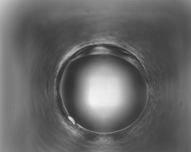 X0000080130248200612151746