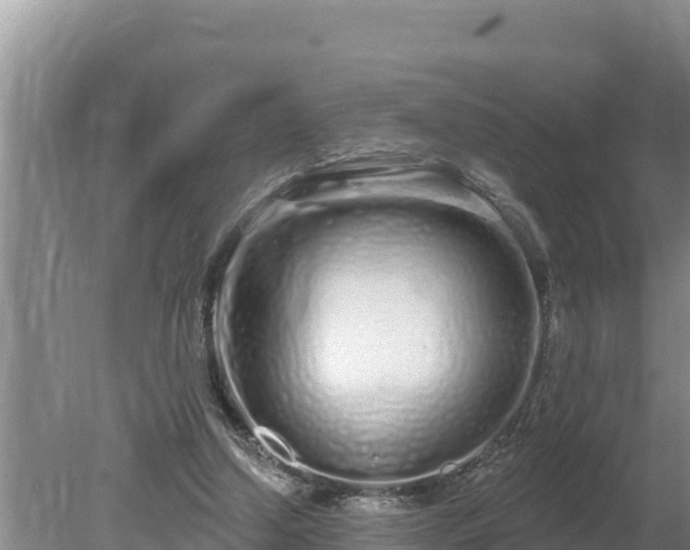 X0000080130250200612151746