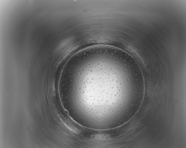 X0000080130251200612151746