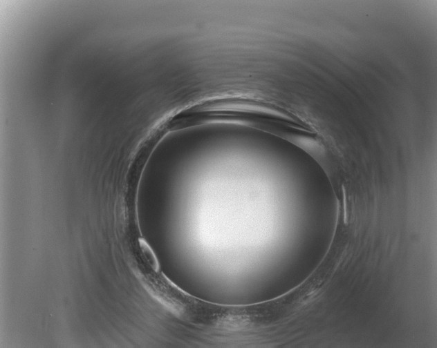 X0000080130252200612151746