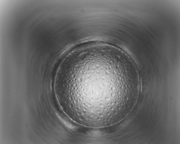 X0000080130253200612151746