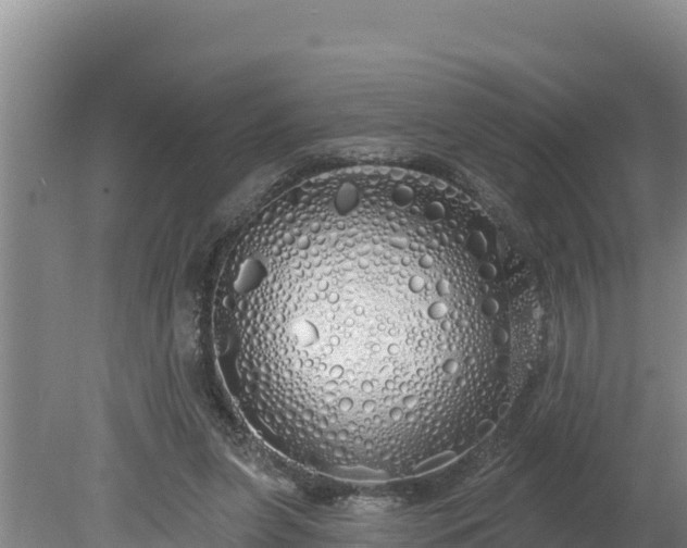 X0000080130255200612151746