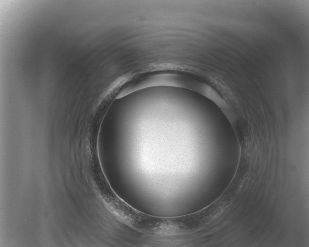 X0000080130256200612151746