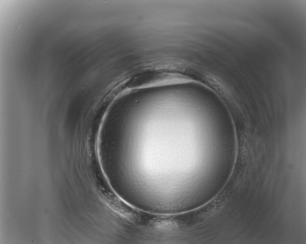 X0000080130258200612151746