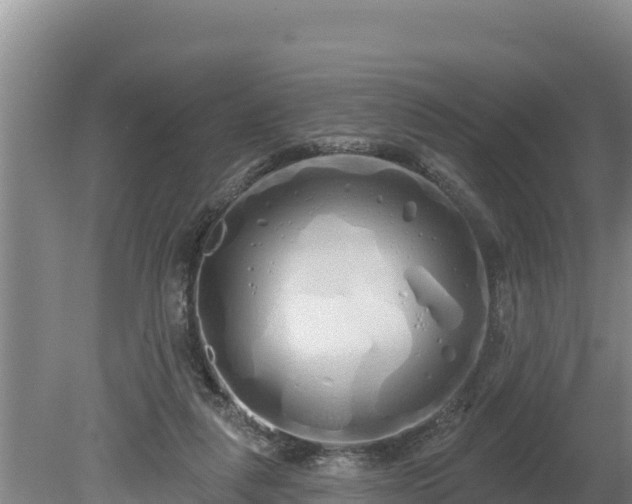 X0000080130259200612151746