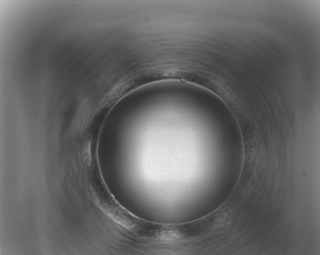 X0000080130262200612151746