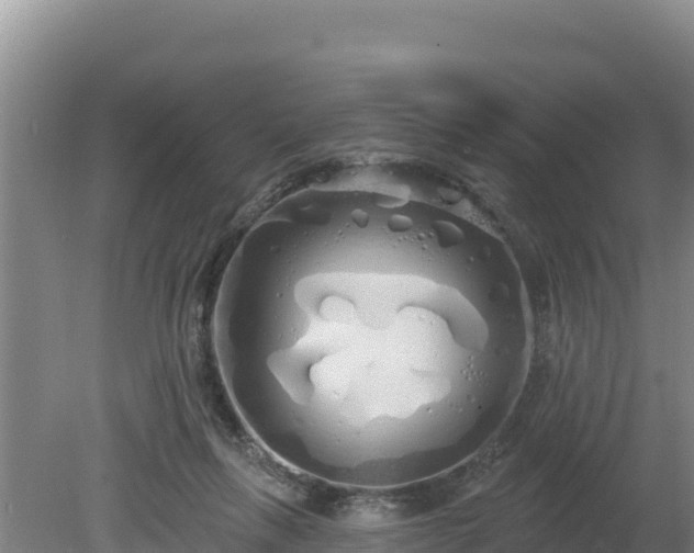 X0000080130263200612151746