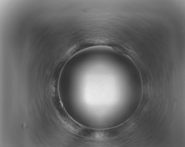 X0000080130264200612151746