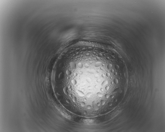 X0000080130265200612151746