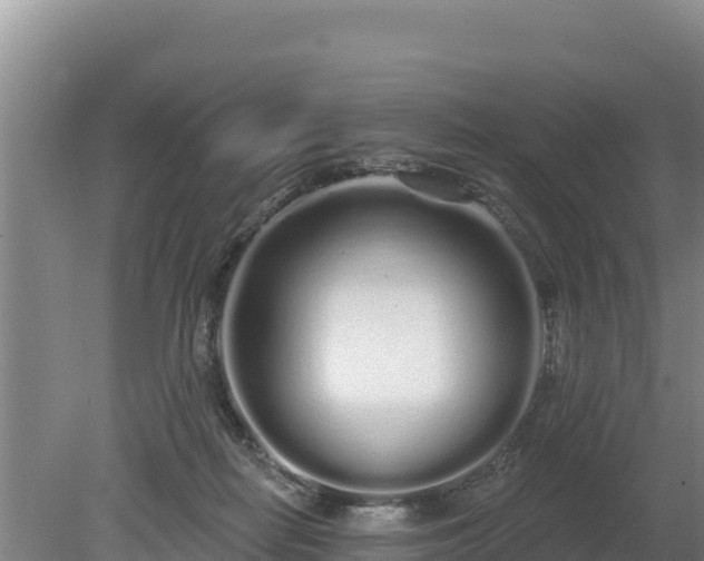 X0000080130266200612151746