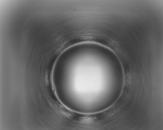 X0000080130267200612151746