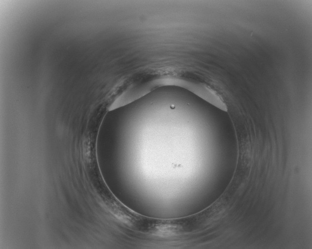 X0000080130268200612151746