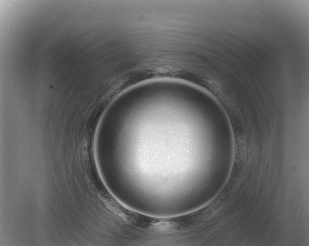 X0000080130269200612151746