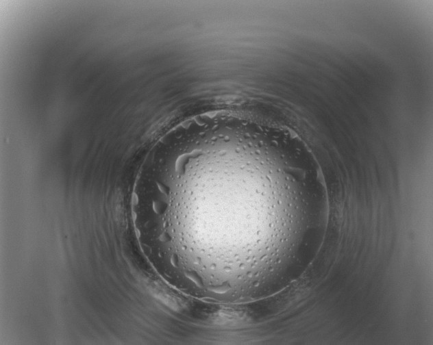 X0000080130270200612151746