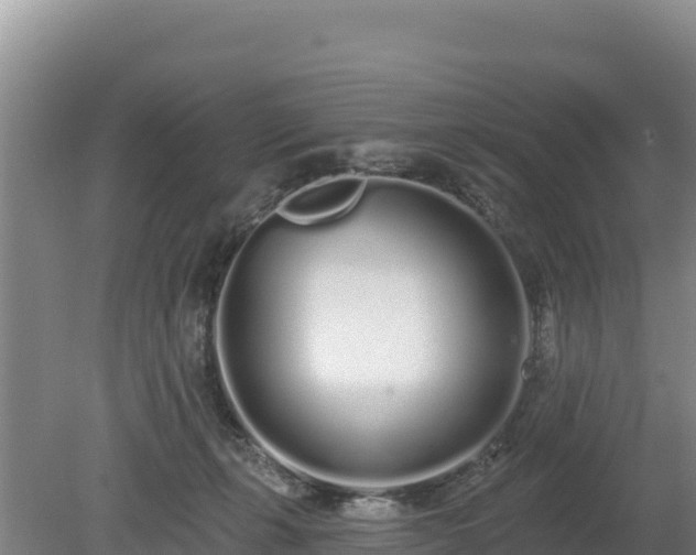 X0000080130271200612151746