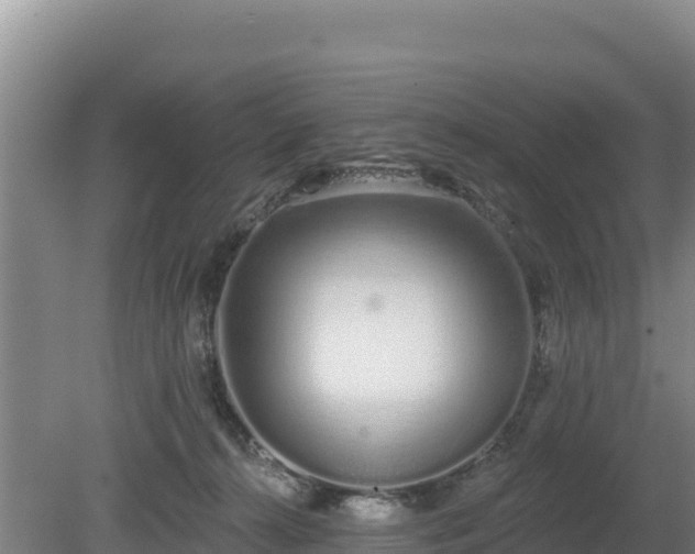 X0000080130272200612151746