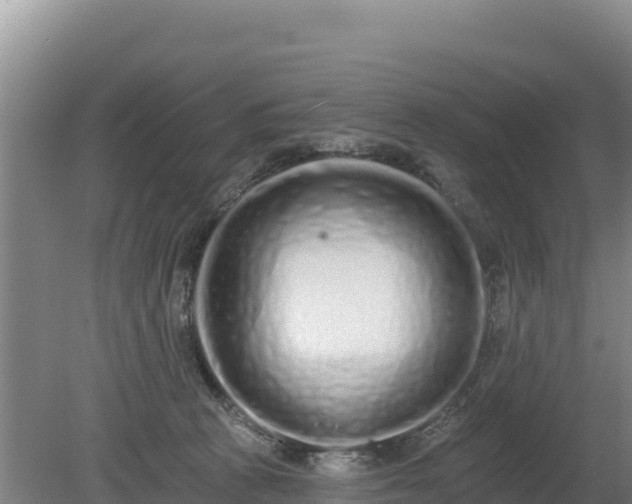 X0000080130273200612151746