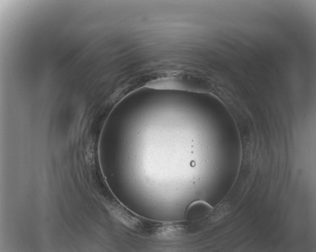 X0000080130274200612151746