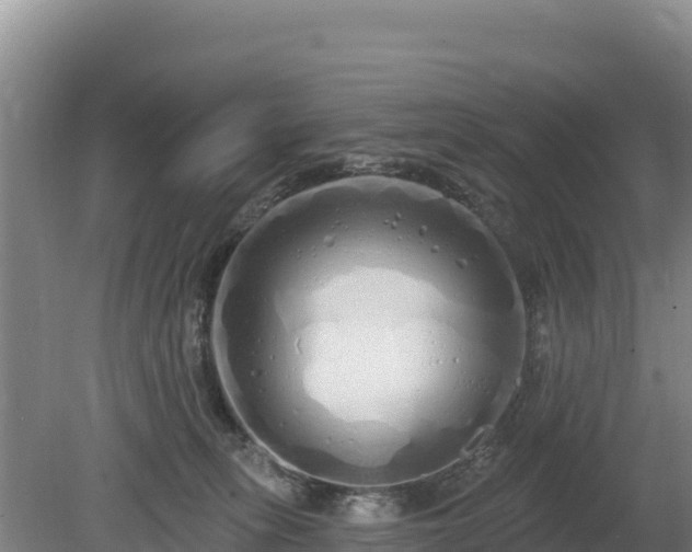 X0000080130275200612151746