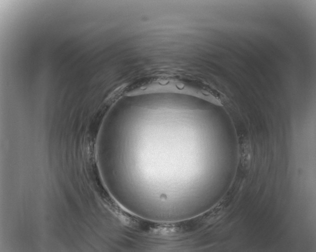 X0000080130276200612151746