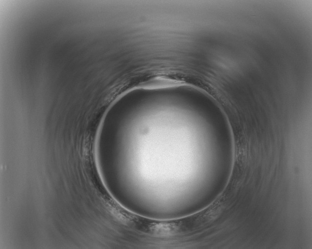 X0000080130277200612151746