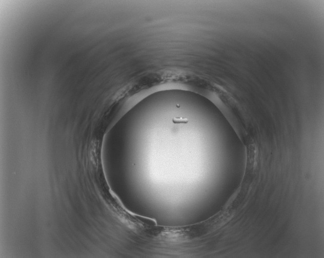 X0000080130280200612151746