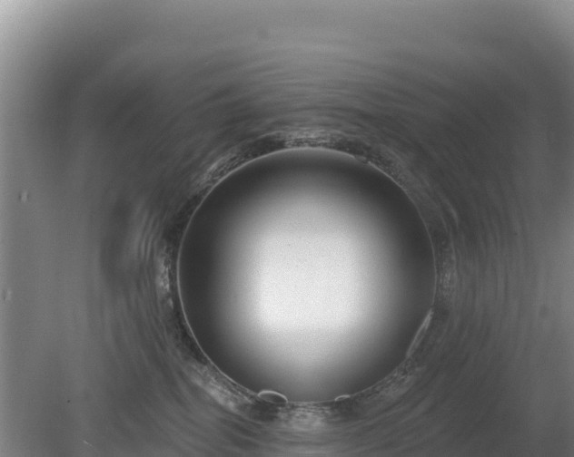 X0000080130282200612151746