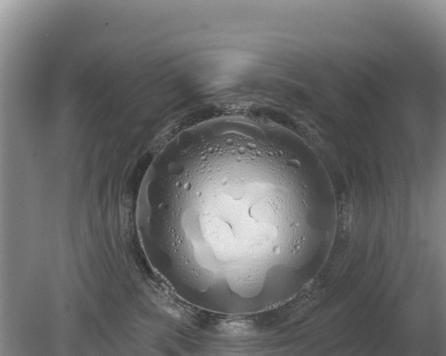 X0000080130283200612151746