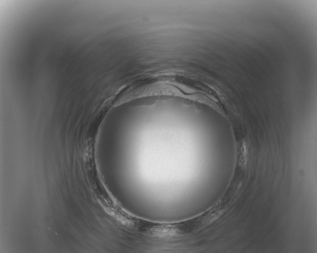 X0000080130284200612151746