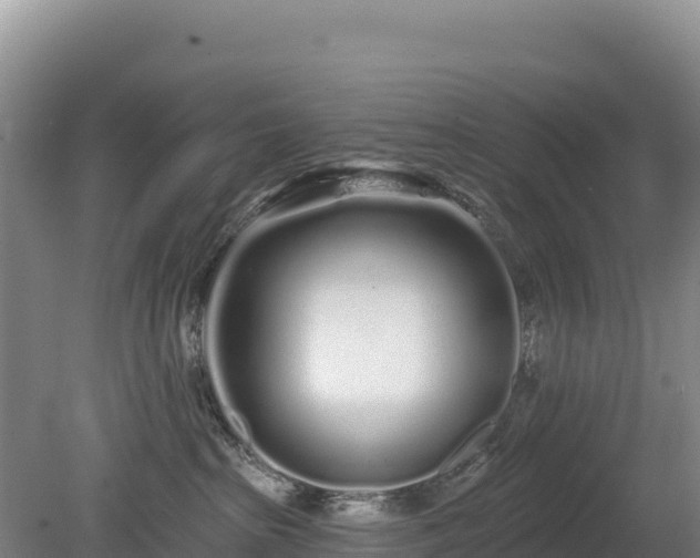 X0000080130285200612151746