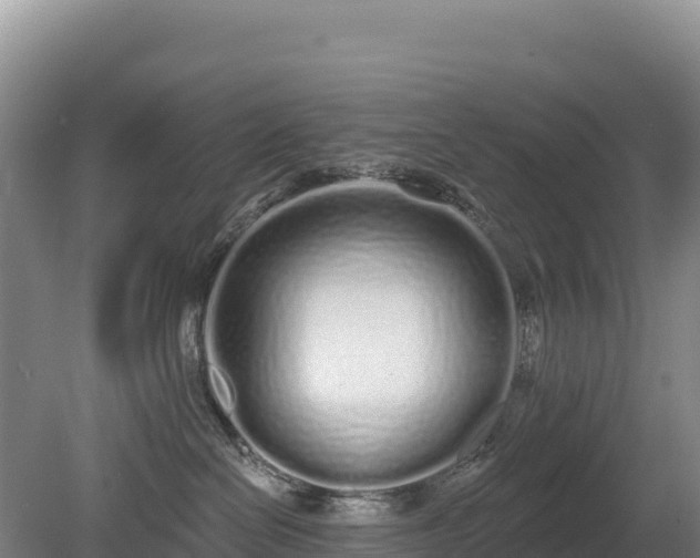 X0000080130286200612151746