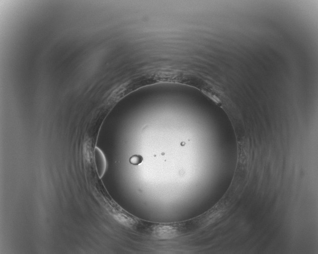 X0000080130287200612151746