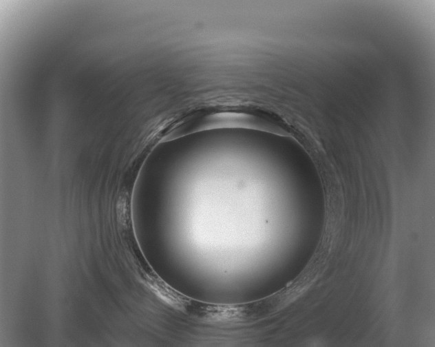 X0000080130288200612151746