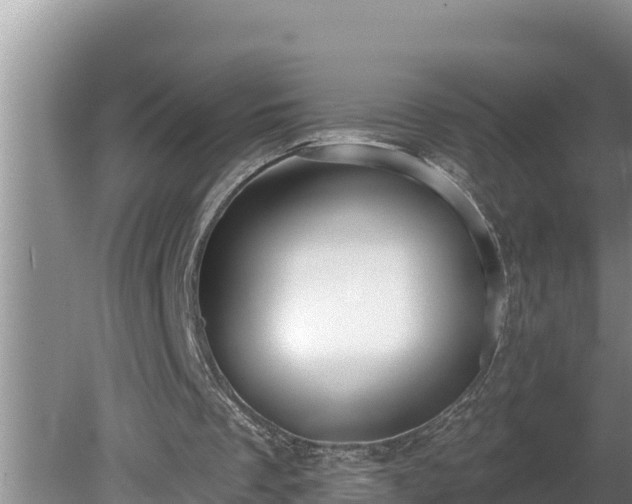 X0000080130289200612151745