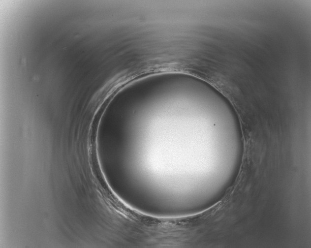 X0000080130290200612151745