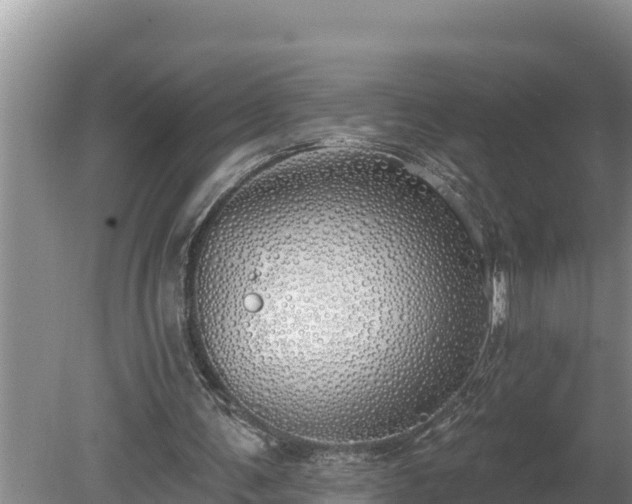 X0000080130291200612151745