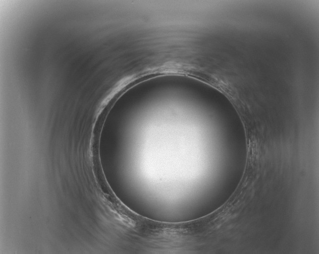 X0000080130292200612151745